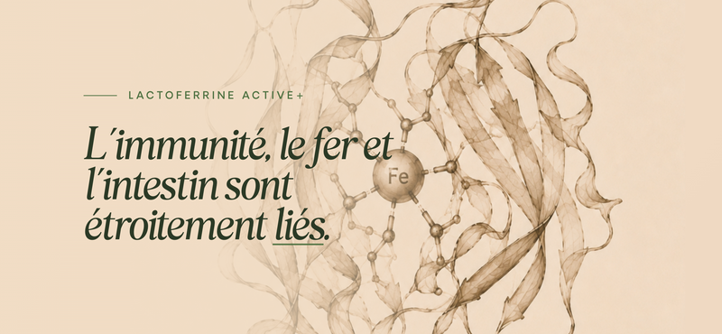 Proferrin® Lactoferrine