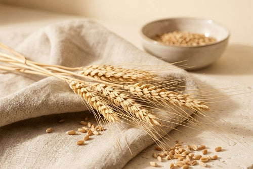 Lipowheat™