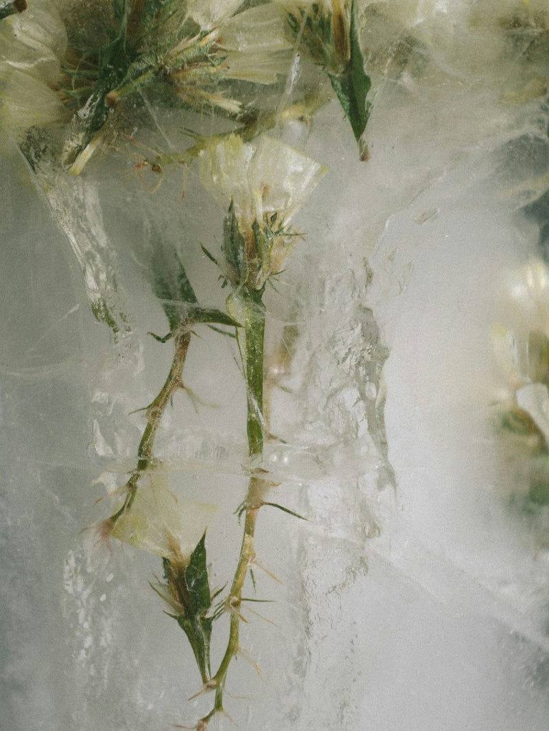 LIVING YOUR CYCLE, SERENELY